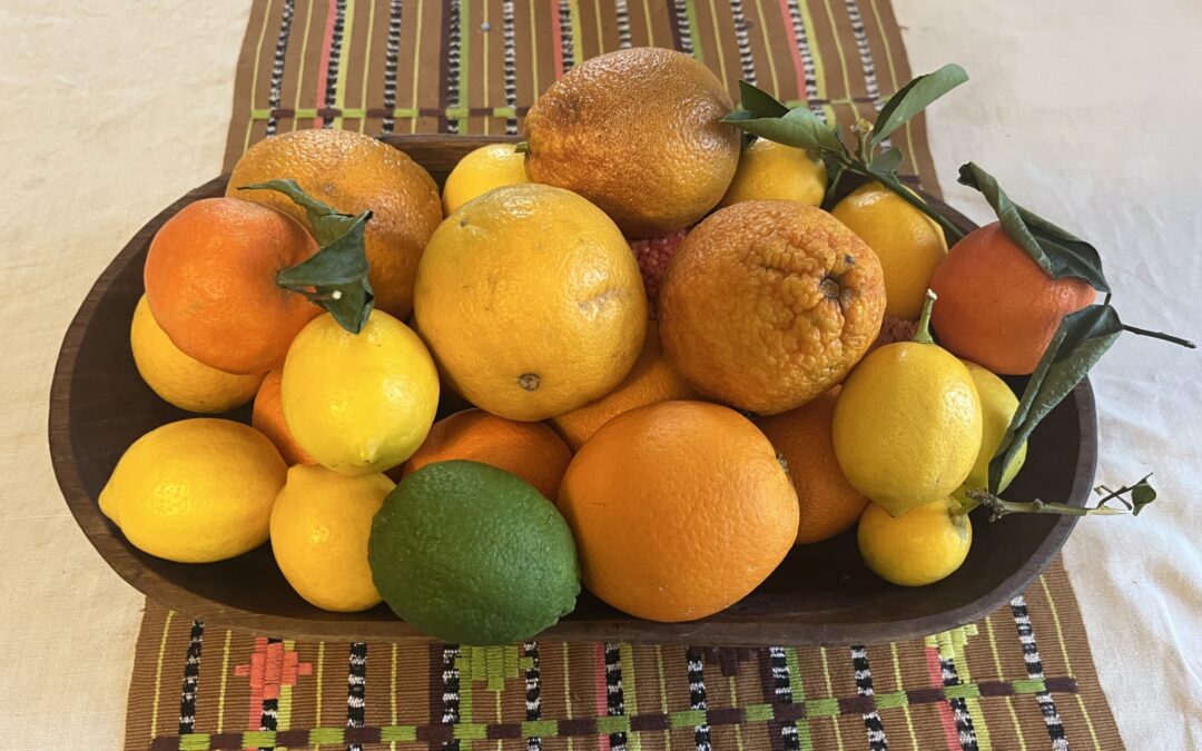 Winter Sunshine – Thanks, Citrus!