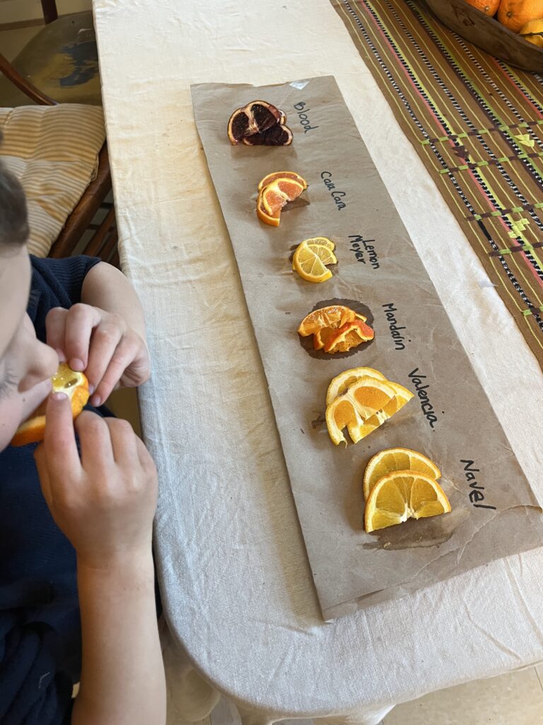 various orange slices lined up on a table with boy tasting slices