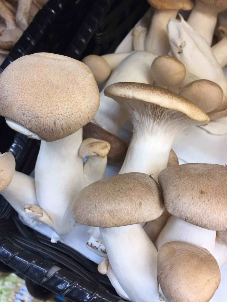 jumble of trumpet mushroom in a basket