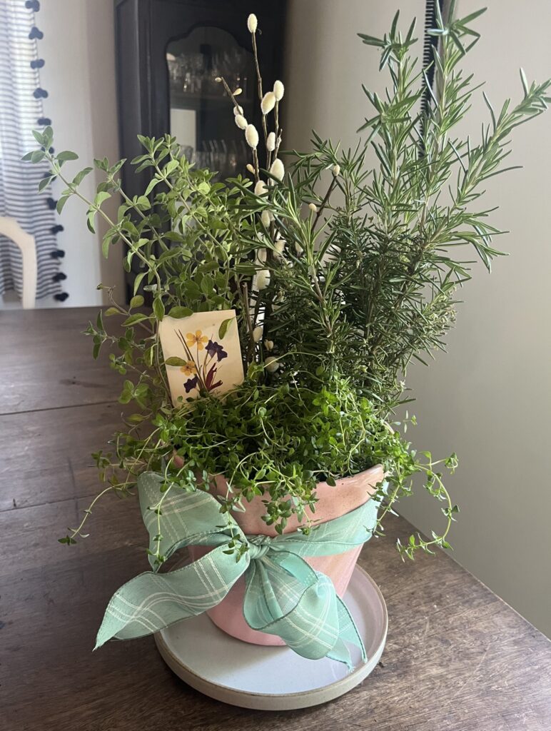 pink ceramic pot with an arrangement of herb plants and ribbon