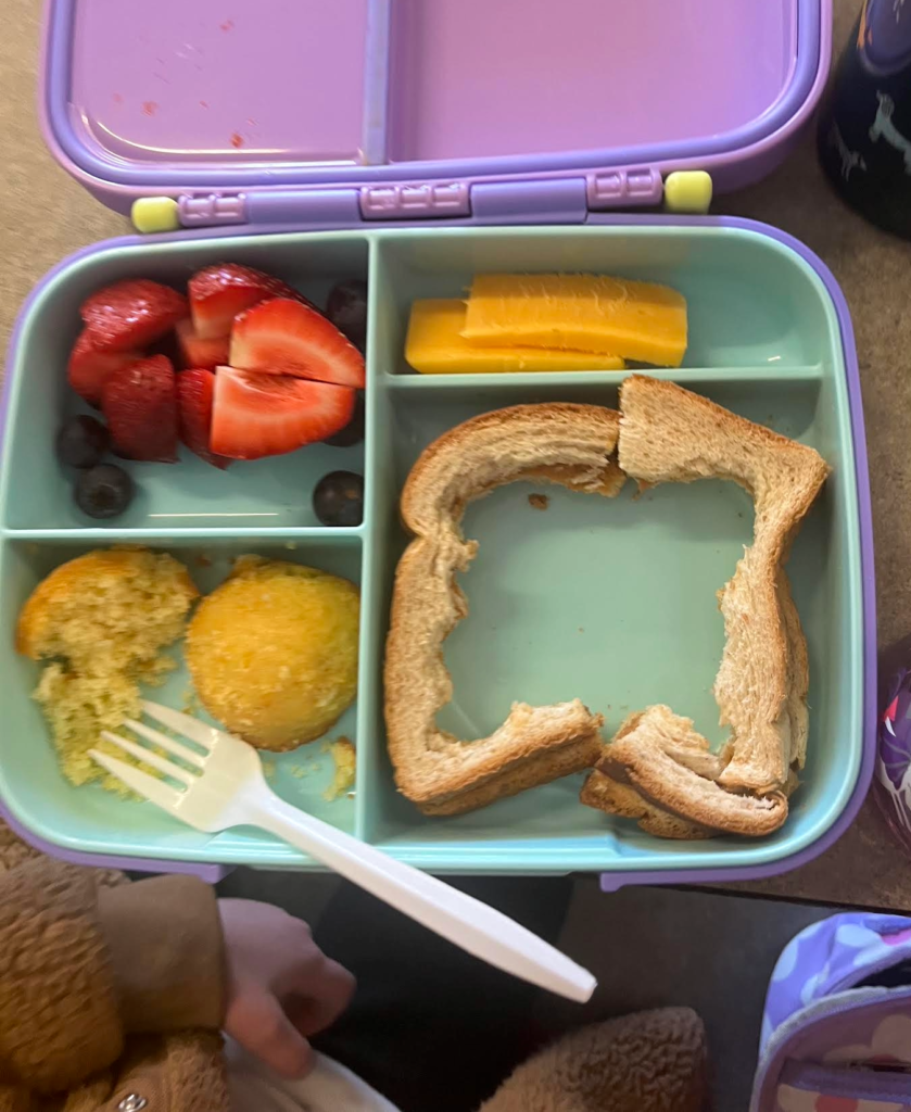 a school lunch in a bento box